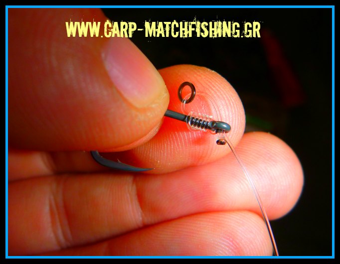 d-rig knot-www.carp-matchfishing.gr