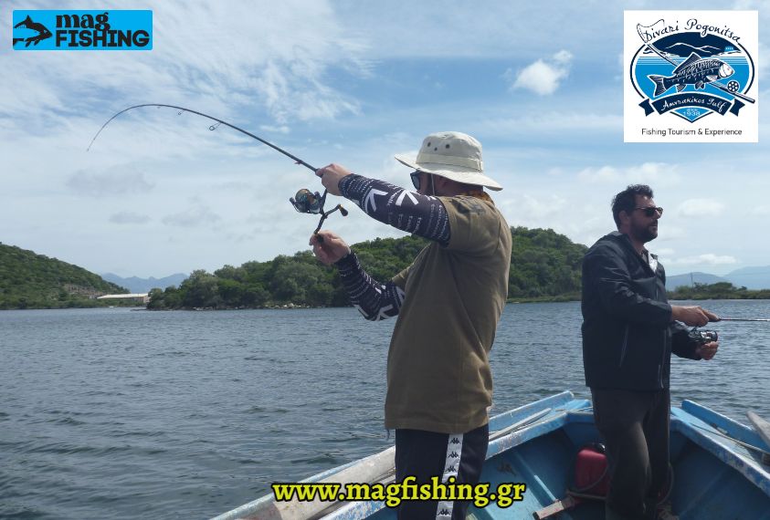 divari pogonitsas boat spinning rod curve magfishing.gr