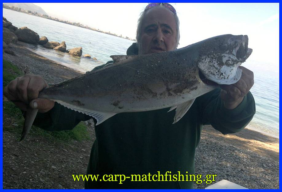 heavy-casting-amberjack.jpg