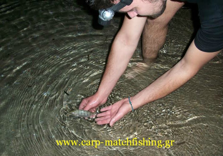 mourmoura-beach-ledgering.catch-and-release