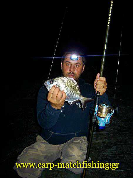 surfcasting-veliss-sargoi-carpmatchfishing