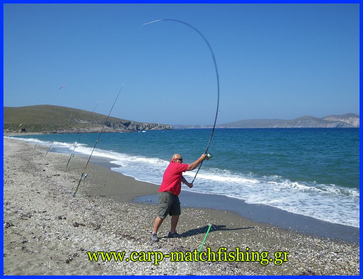 casting-voli-carp-matchfishinggr.jpg