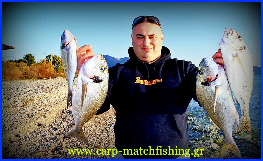 tsipoures-casting-carp-matchfishing-gr.jpg