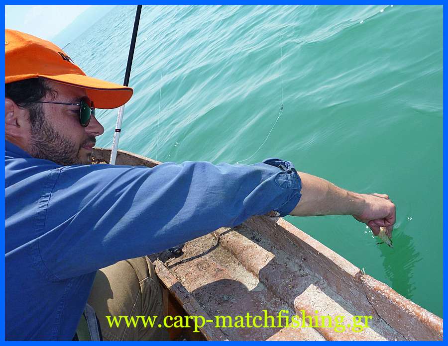 www.carp-matchfishing.gr. To ψάρεμα της σουπιάς με την τεχνική του eging