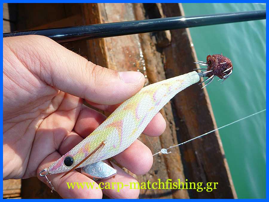 www.carp-matchfishing.gr. To ψάρεμα της σουπιάς με την τεχνική του eging