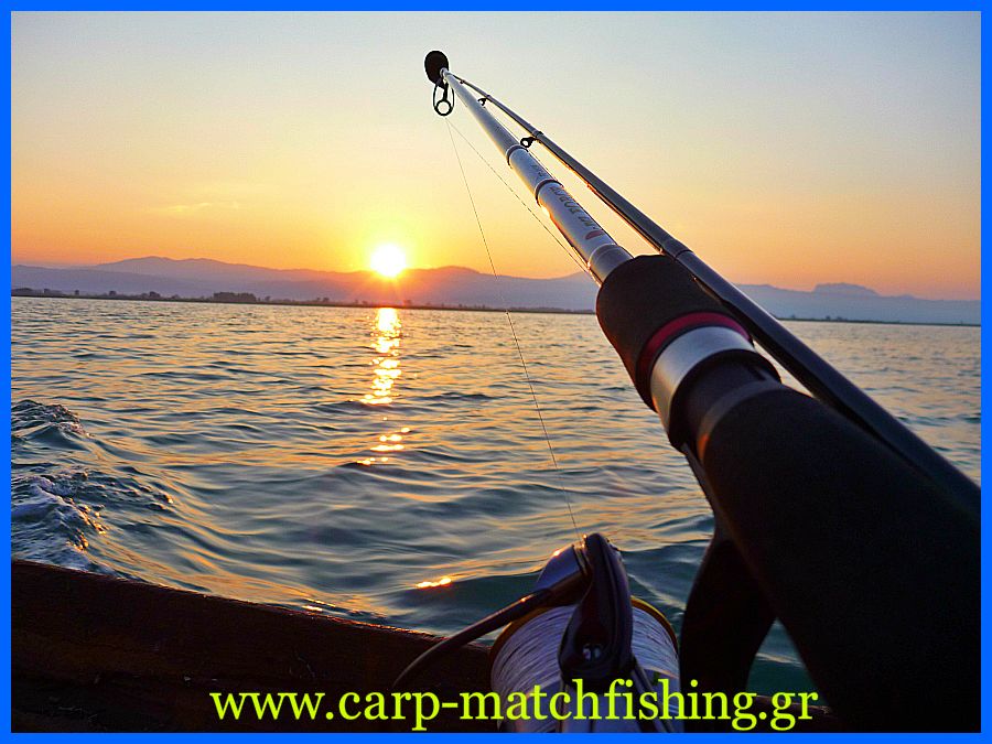 www.carp-matchfishing.gr. To ψάρεμα της σουπιάς με την τεχνική του eging