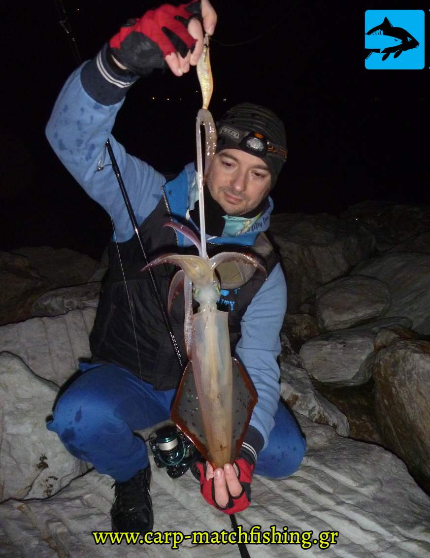squid kalamari piasmeno apo plokami carpmatchfishing