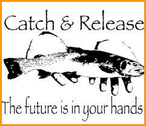 logo-catch-and-release.jpg