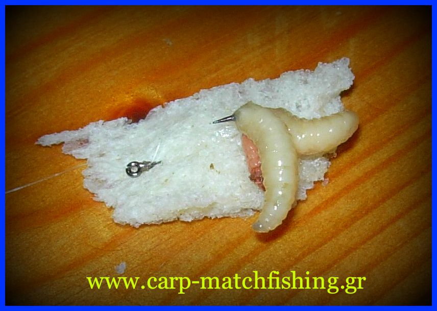 mikti-dolosia-maggots-biggattino-carp-matchfishing-gr.jpg