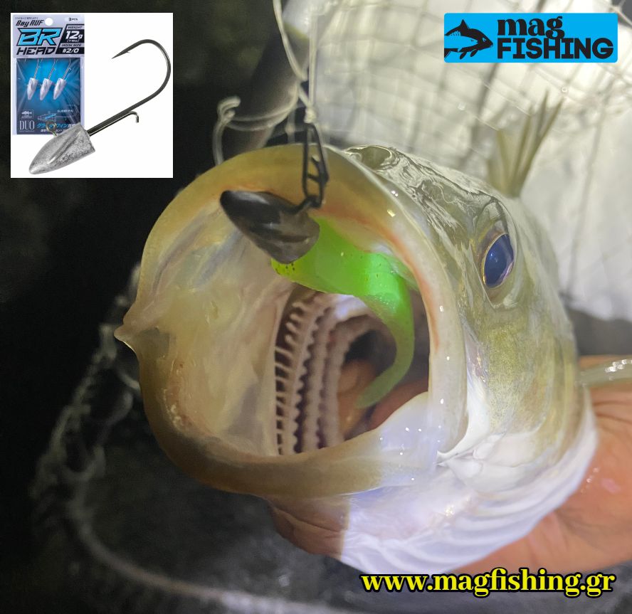 trigoniki molivokefali duo br head