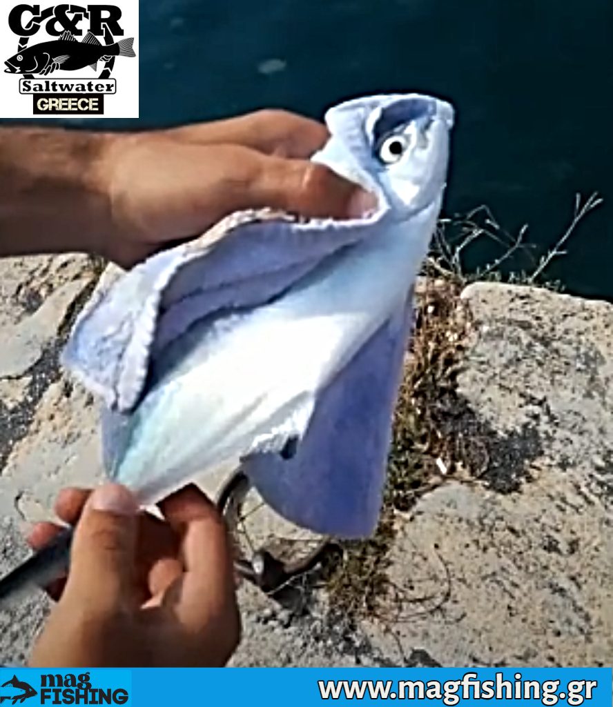 catch and release mikri litsa magfishing.gr
