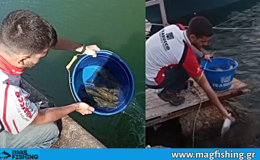 tigania apeleutherosi psarion magfishing.gr