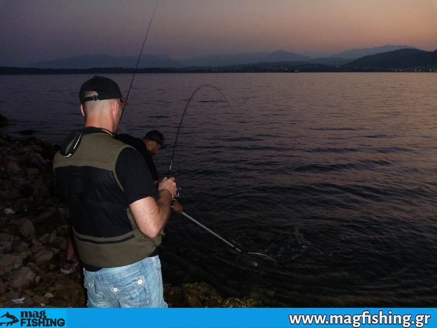 i apoxi sto lrf magfishing.gr kokkali