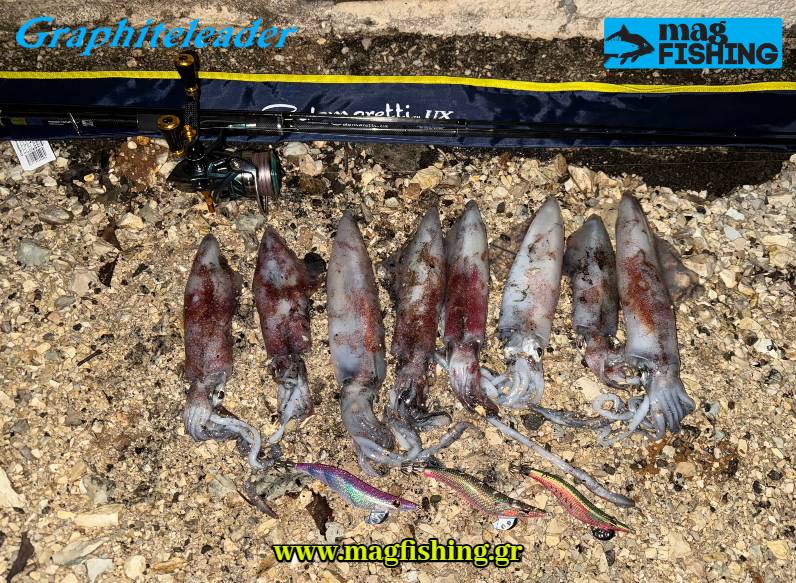 squids eging game calamaretti ux 832ml magfishing.gr