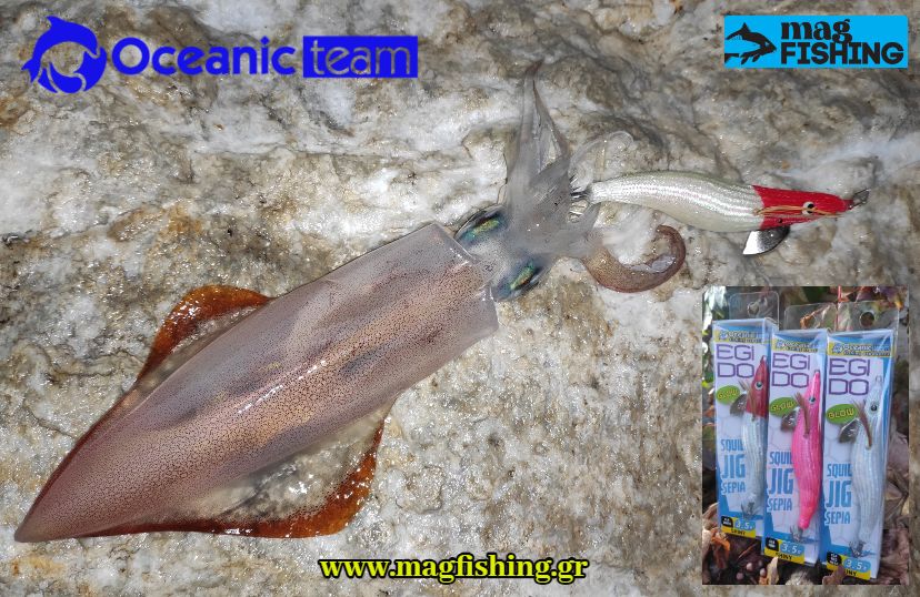 kalamari shiny oceanic team kalamarieres magfishing.gr