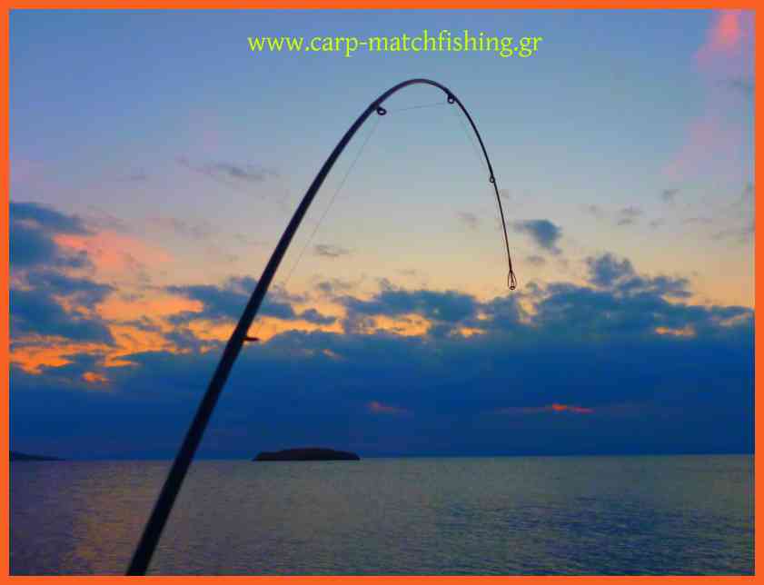 www.carp-matchfishing.gr Τα πάντα για το ψάρεμα σε θάλασσα και στα γλυκά νερά