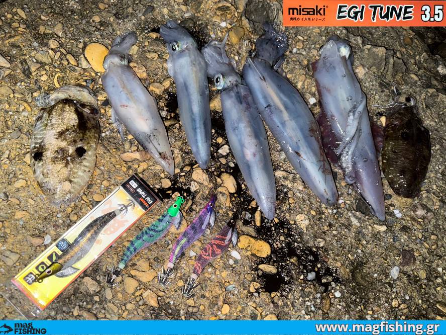 kalamaria soupies misaki egi tune eging magfishing.gr