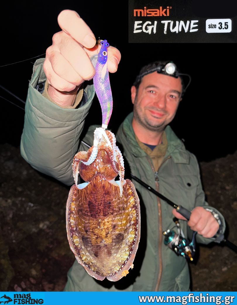 misaki egi tune soupia eging magfishing.gr 3