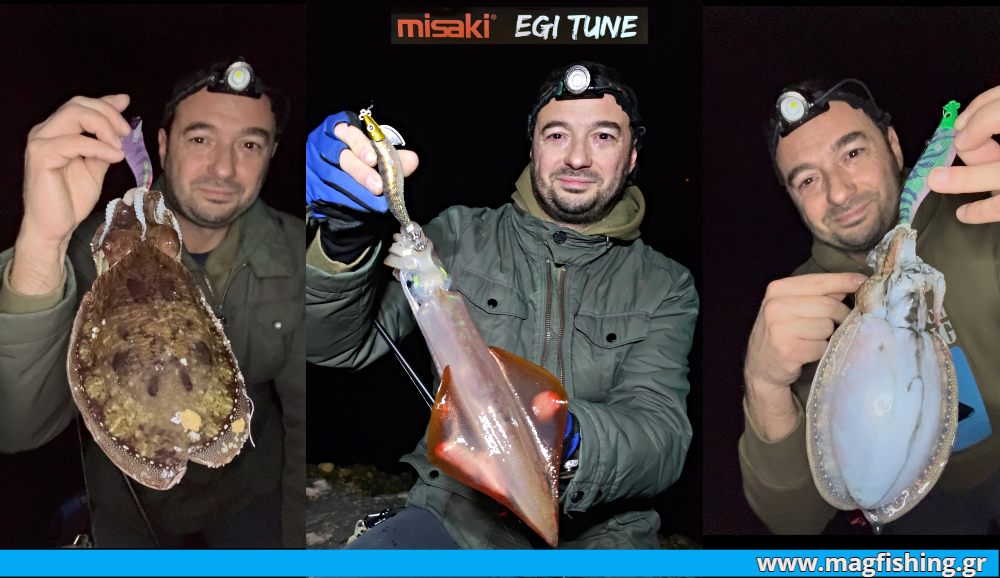 misaki egi tune soupia kalamari eging magfishing.gr