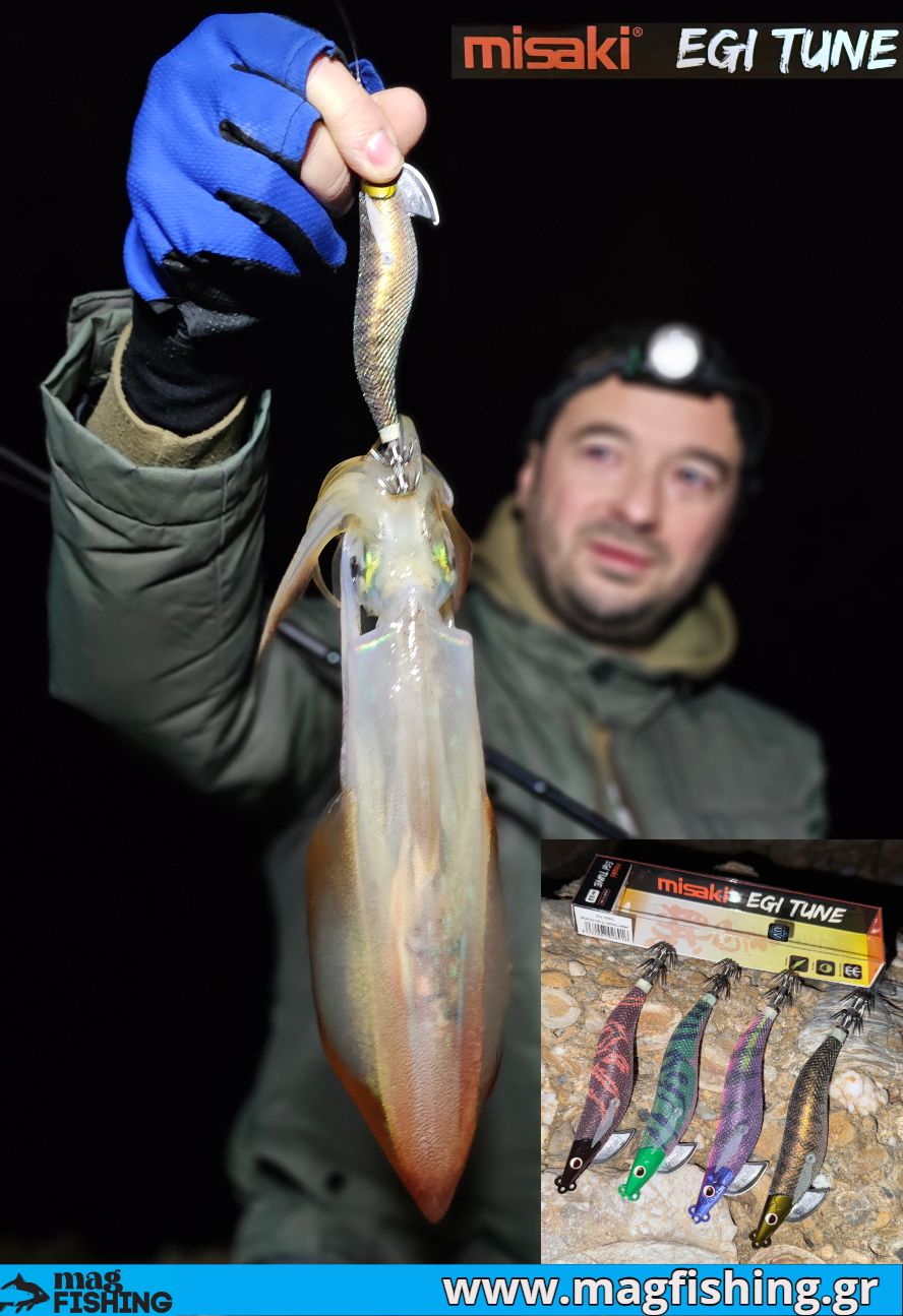 squid eging misaki egi tune magfishing.gr
