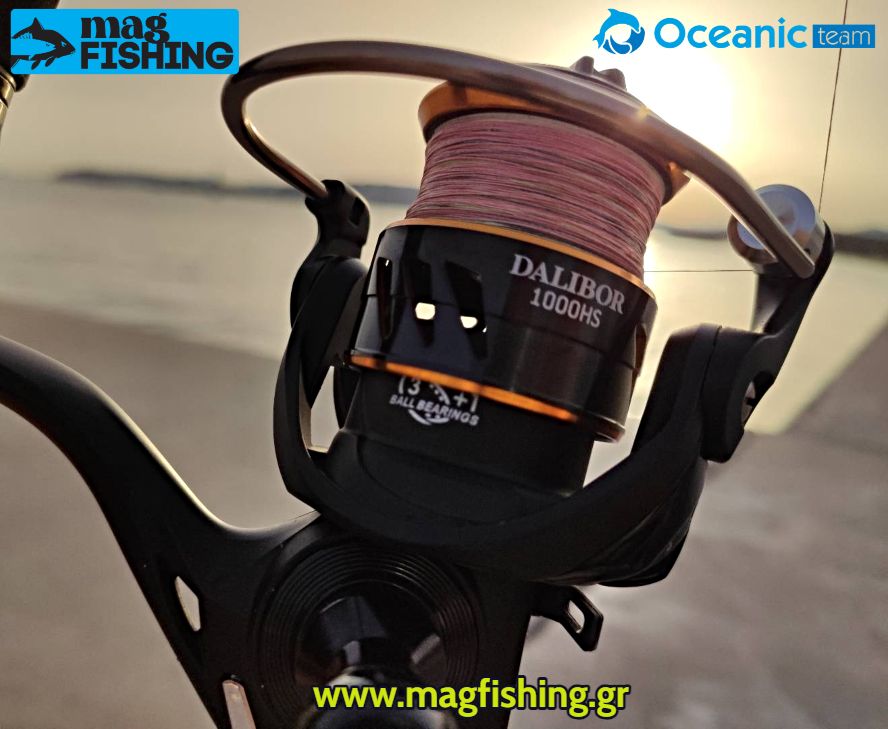 dalibor 1000hs oceanic team magfishinggr