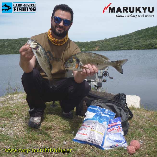 psaria psarema malagres marukyu carpmatchfishing