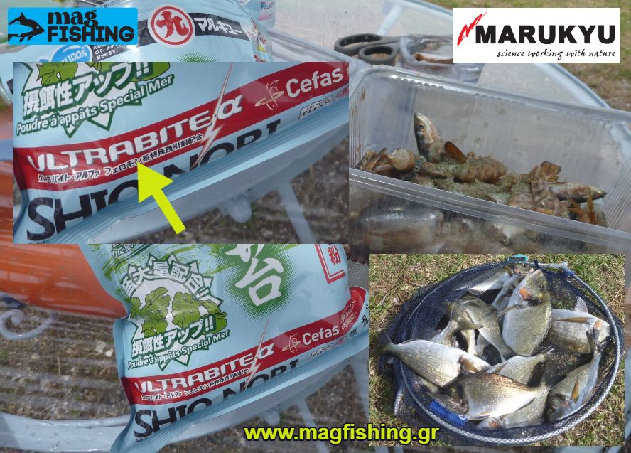 marukyu shio nori with ultrabite formula magfishing