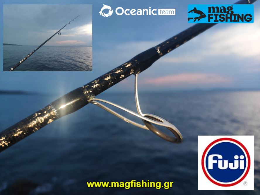 spider iv 4 edition oceanic team guides fuji magfishing.gr