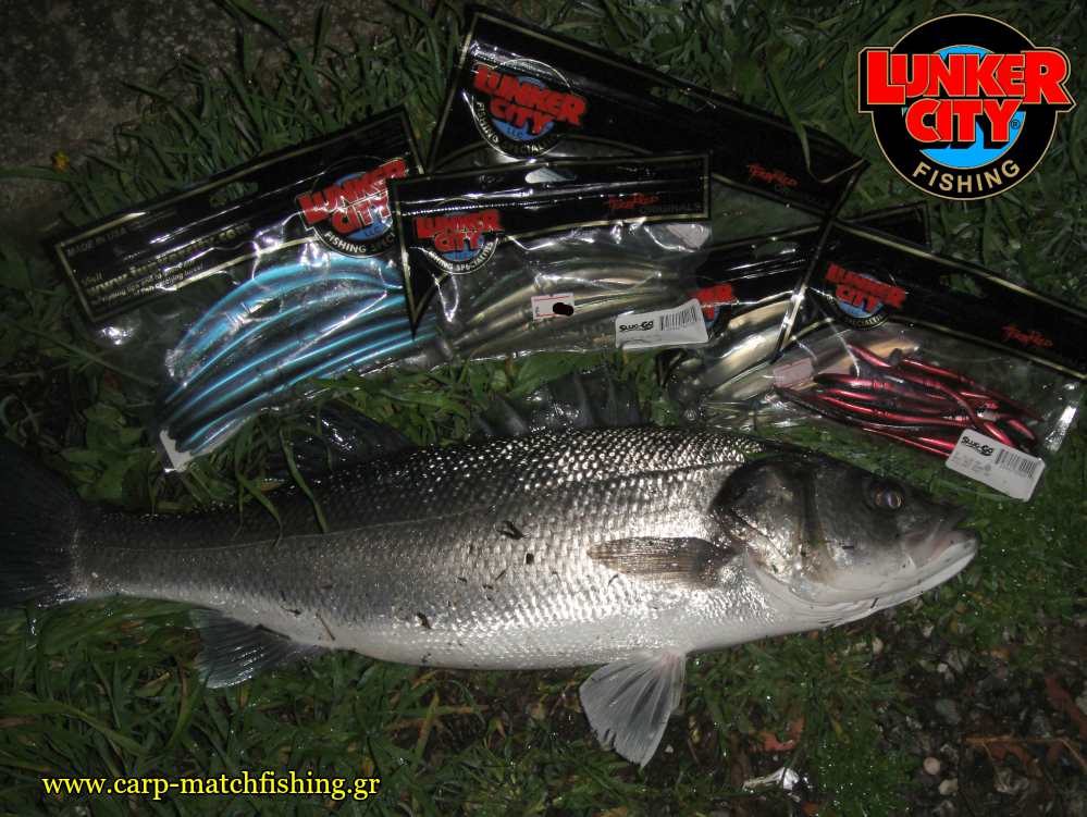 lavraki slug go lunker city lavraki carpmatchfishing